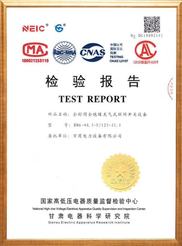 RM6-40.5-F Inspection Report