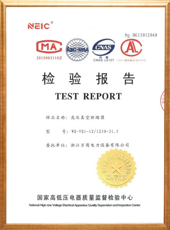 VS1-12 High Voltage Vacuum Circuit Breaker Inspection Report