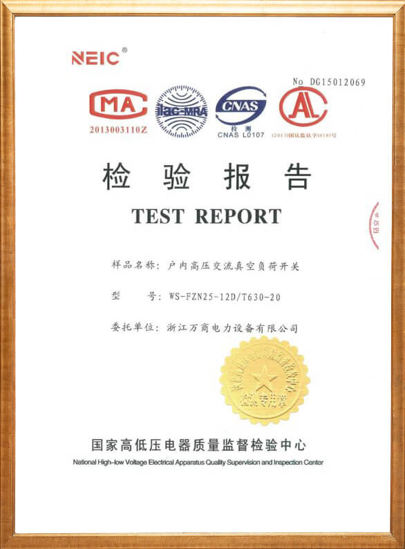 WS-FZN25-12D Indoor High Voltage AC Vacuum Load Switch Inspection Report