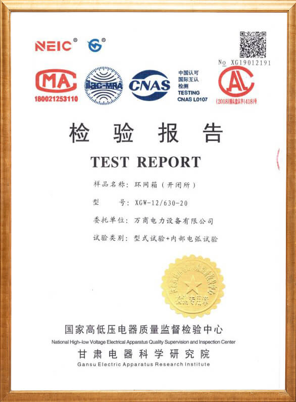 XGW-12 Ring Cage Inspection Report