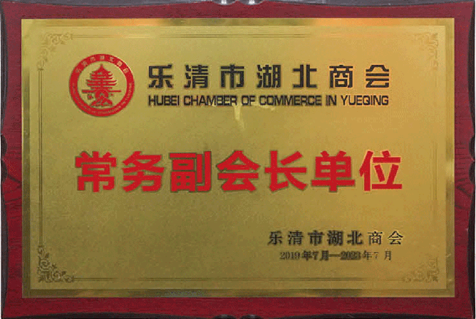 Executive Vice President of Hubei Chamber of Commerce